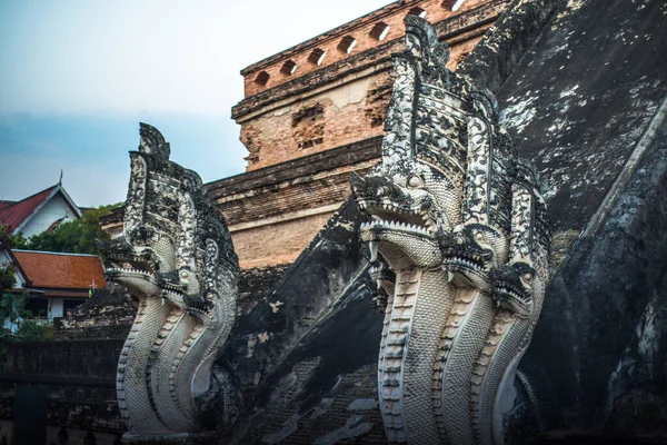 Tailândia Chiang Mai Templo Wat Chedi Luang — Fotografia de Stock