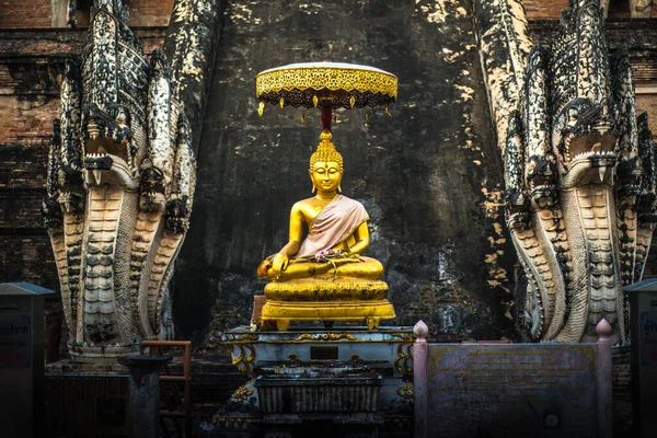 Thailand Chiang Mai Tempel Wat Chedi Luang — Stockfoto