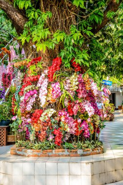 Tayland. Chiang Mai. Wat Doi Suthep Tapınağı