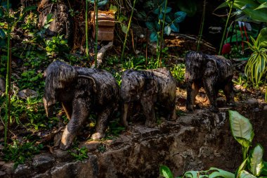Tayland. Chiang Mai. Wat Doi Suthep Tapınağı