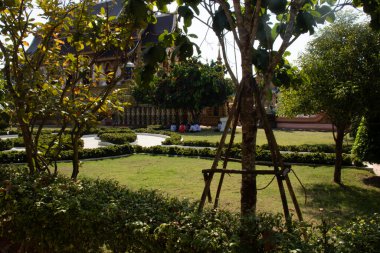 Tayland. Chiang Rai. Wat Saeng Kaeo Tapınağı