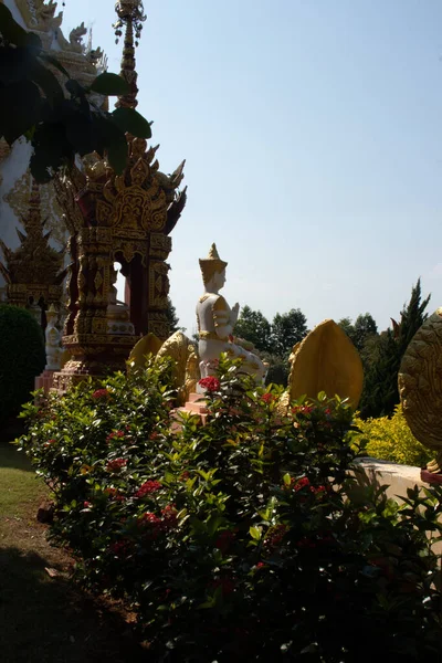 Tailândia Chiang Rai Templo Wat Saeng Kaeo — Fotografia de Stock