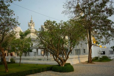 Tayland. Chiang Rai. Beyaz Tapınak