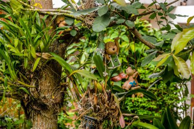 Tayland. Chiang Rai. Nak Nakara Oteli 'nin güzel manzarası..