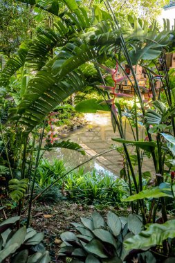 Tayland. Krabi şehrinde güzel bir otel manzarası.