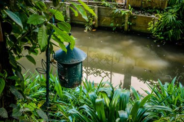 Tayland. Krabi şehrinde güzel bir otel manzarası.