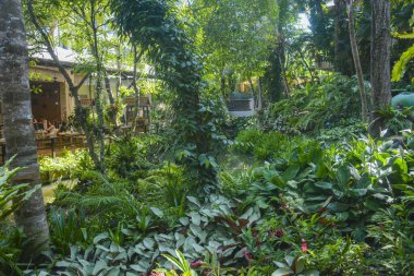 Tayland. Krabi şehrinde güzel bir otel manzarası.