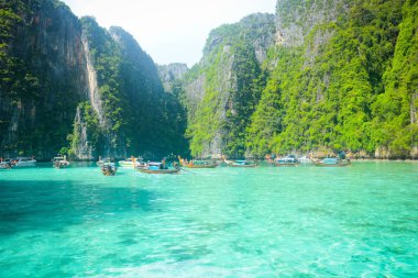 Tayland. Phi Phi Adası 'nın güzel bir manzarası. 
