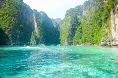 Tayland. Phi Phi Adası 'nın güzel bir manzarası. 