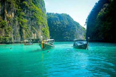 Tayland. Phi Phi Adası 'nın güzel bir manzarası. 