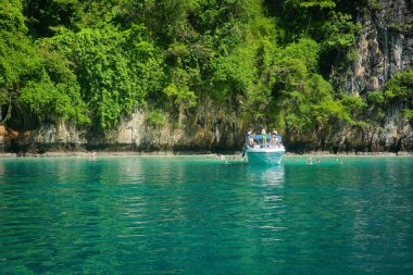 Tayland. Phi Phi Adası 'nın güzel bir manzarası. 