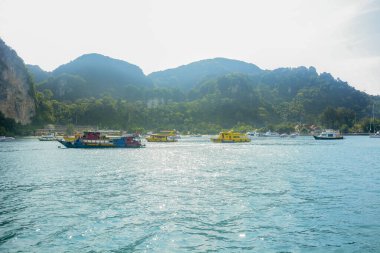 Tayland. Phi Phi Adası 'nın güzel bir manzarası. 