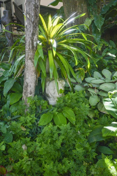 Tayland Krabi Şehrinde Güzel Bir Otel Manzarası — Stok fotoğraf