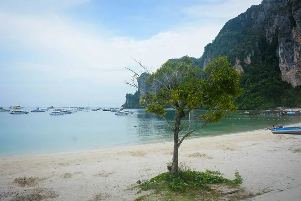 Tailandia Una Hermosa Vista Isla Phi Phi — Foto de Stock