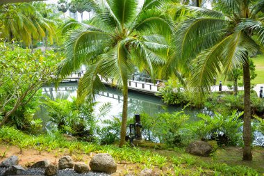 Tayland. Phuket. Hilton Oteli manzarası