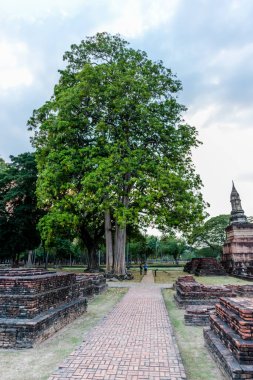 Tayland. Sukhothai. Tarihi Park Manzarası.
