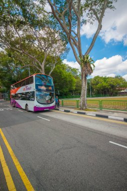 Singapur. Şehrin güzel bir manzarası.