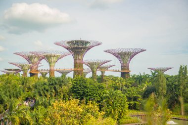 Singapur. Körfez kenarındaki bahçelerin manzarası
