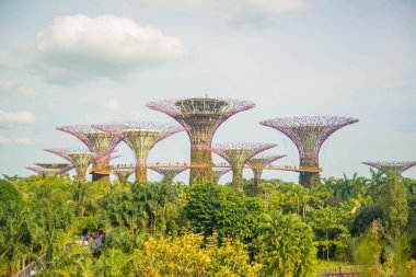 Singapur. Körfez kenarındaki bahçelerin manzarası