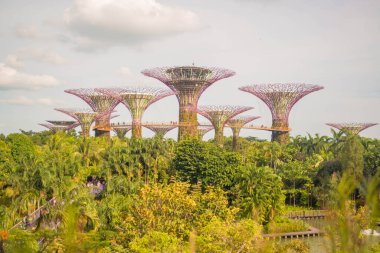 Singapur. Körfez kenarındaki bahçelerin manzarası