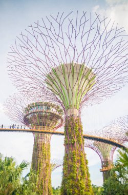 Singapur. Körfez kenarındaki bahçelerin manzarası