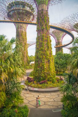 Singapur. Körfez kenarındaki bahçelerin manzarası