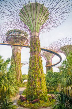 Singapur. Körfez kenarındaki bahçelerin manzarası