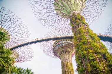 Singapur. Körfez kenarındaki bahçelerin manzarası