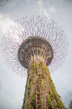 Singapur. Körfez kenarındaki bahçeler