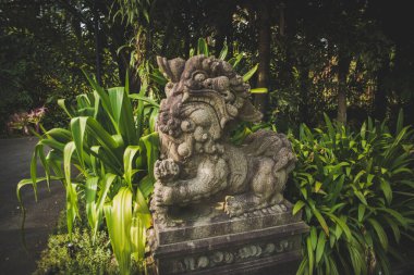Singapur. Körfez kenarındaki bahçeler