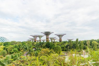 Singapur. Körfez kenarındaki bahçeler