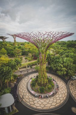 Singapur. Körfez kenarındaki bahçeler