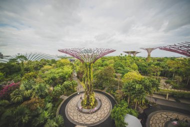 Singapur. Körfez kenarındaki bahçeler