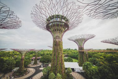 Singapur. Körfez kenarındaki bahçeler