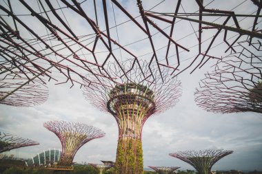 Singapur. Körfez kenarındaki bahçeler