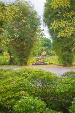 Singapur. Körfez kenarındaki bahçelerin manzarası