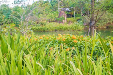 Singapur. Körfez kenarındaki bahçelerin manzarası
