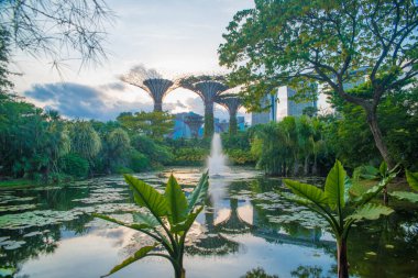 Singapur. Körfez kenarındaki bahçelerin manzarası