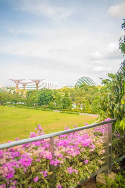 Singapore Utsikt Över Trädgården Vid Bukten — Stockfoto