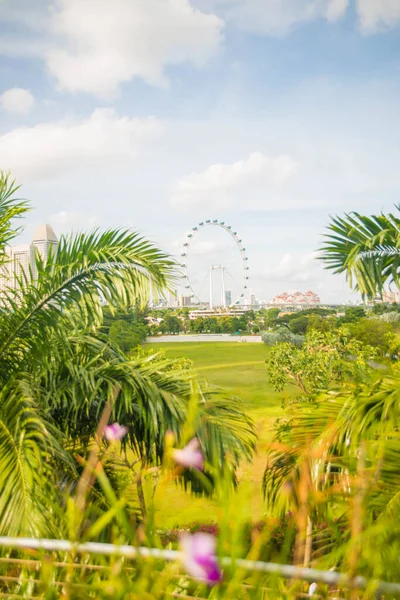 新加坡 海湾边的花园景观 — 图库照片