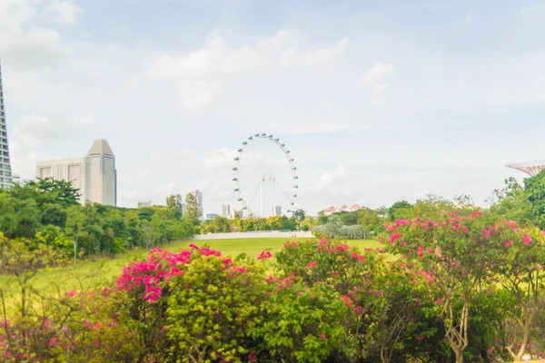 Singapur Körfez Kenarındaki Bahçelerin Manzarası — Stok fotoğraf