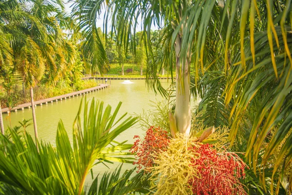 Singapur Una Vista Los Jardines Por Bahía — Foto de Stock