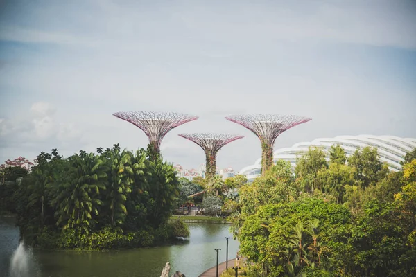新加坡 海湾边的花园景观 — 图库照片
