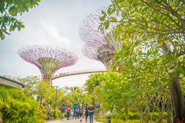 シンガポール 湾内の庭園の眺め — ストック写真