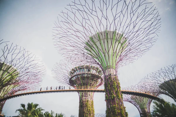 Singapur Una Vista Los Jardines Por Bahía —  Fotos de Stock