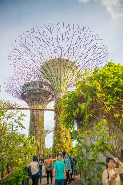 Singapur Una Vista Los Jardines Por Bahía —  Fotos de Stock