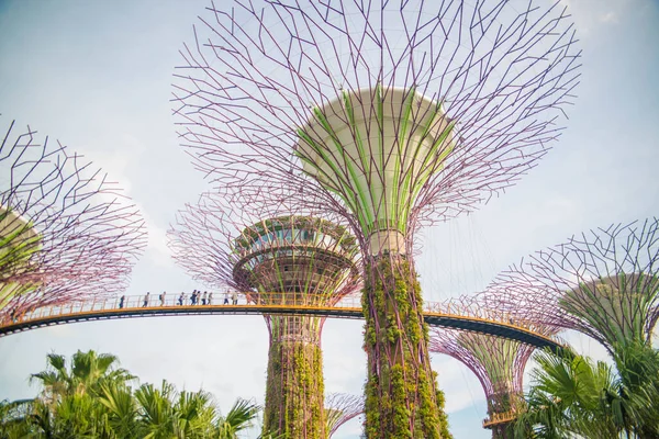 Singapura Uma Vista Jardins Bay — Fotografia de Stock