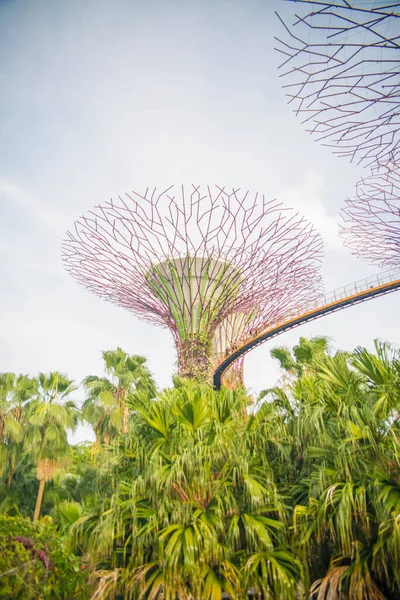 Singapura Uma Vista Jardins Bay — Fotografia de Stock