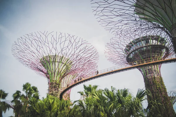 Singapur Una Vista Los Jardines Por Bahía —  Fotos de Stock