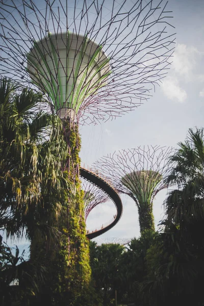 Singapore Uitzicht Gardens Bay — Stockfoto